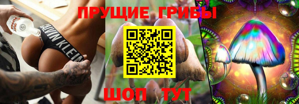 Юрга  Галлюциногенные грибы MAGIC MUSHROOMS  Вход с VPN 