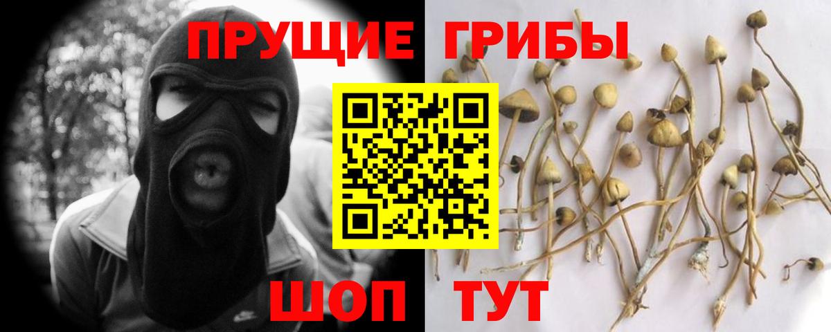 Галлюциногенные грибы мухоморы Юрга